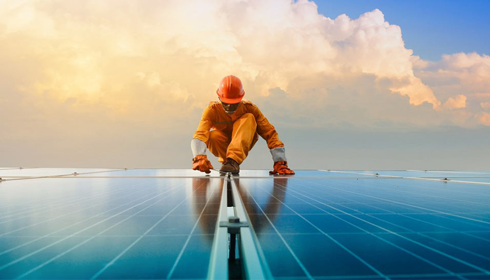 Shareholder Engagement 956x547